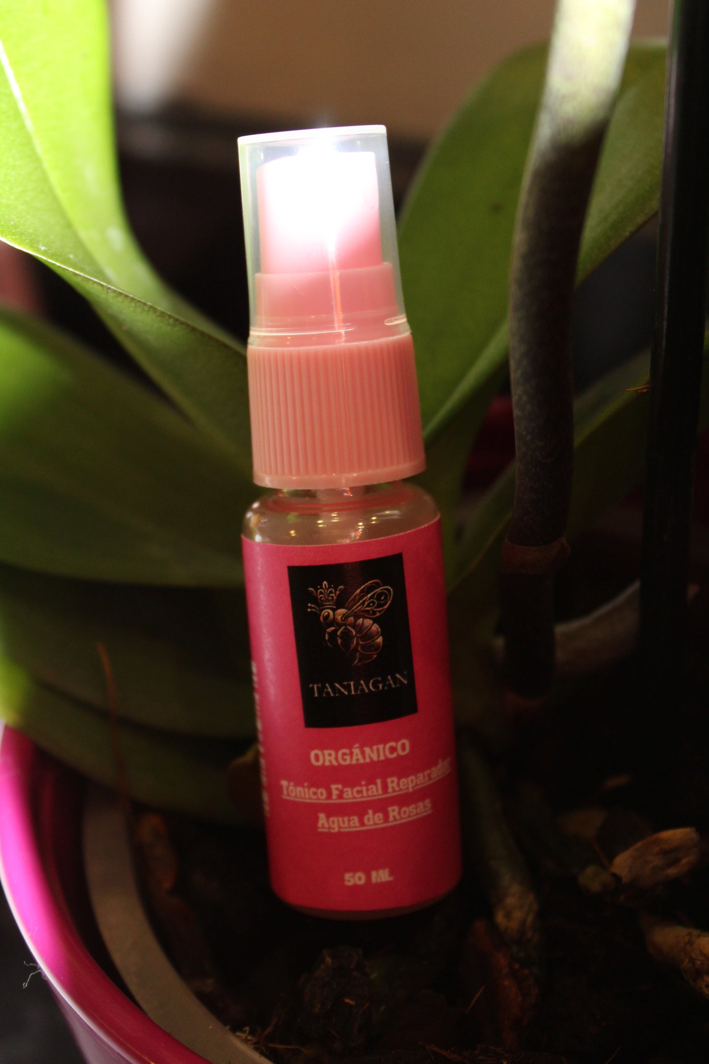 Tónico facial reparador de agua de rosas