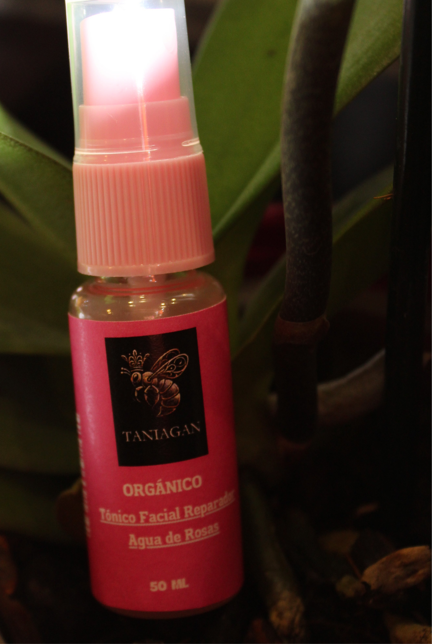 Tónico facial reparador de agua de rosas